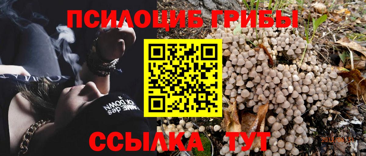 Псилоцибиновые грибы Cubensis  продажа наркотиков  Вход с VPN  Улан-Удэ  Галлюциногенные грибы Psilocybine cubensis 