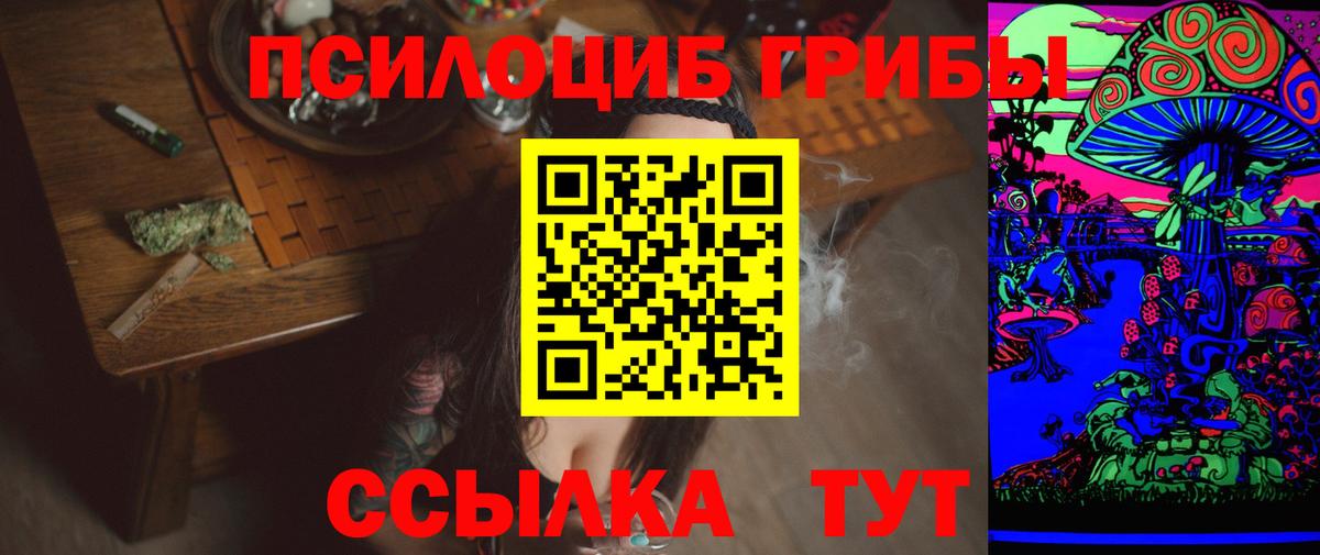 Галлюциногенные грибы Psilocybine cubensis Улан-Удэ